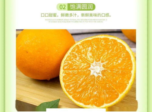 世界臍橙之鄉的“橙”意 9.9元起搶鮮贛南好滋味