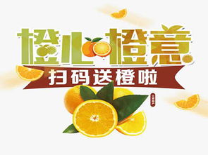 橙心橙意加盟費用解析 總投資7.98萬元起，詳細費用構成與加盟支持一覽