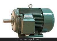 高效多用途動(dòng)力源 走進(jìn)盛達(dá)電機(jī)YDS-315L2-6 45KW變極多速三相異步電動(dòng)機(jī)